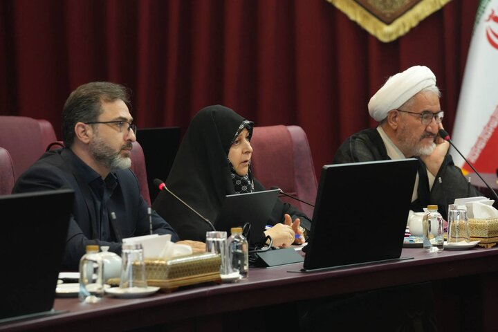 پنجاه و نهمین جلسه کمیته تخصصی مولد سازی دارایی های دولت