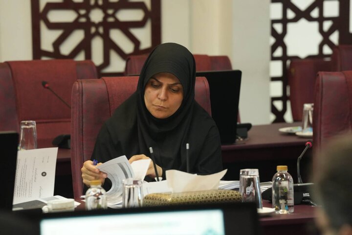 پنجاه و نهمین جلسه کمیته تخصصی مولد سازی دارایی های دولت