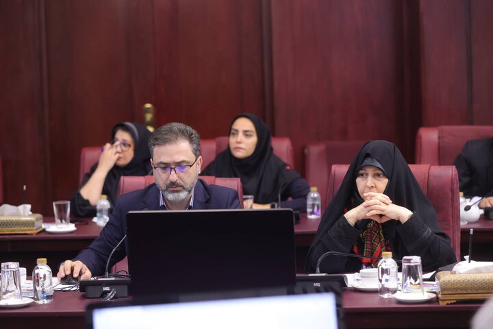 شصتمین جلسه کمیته تخصصی مولد سازی دارایی های دولت