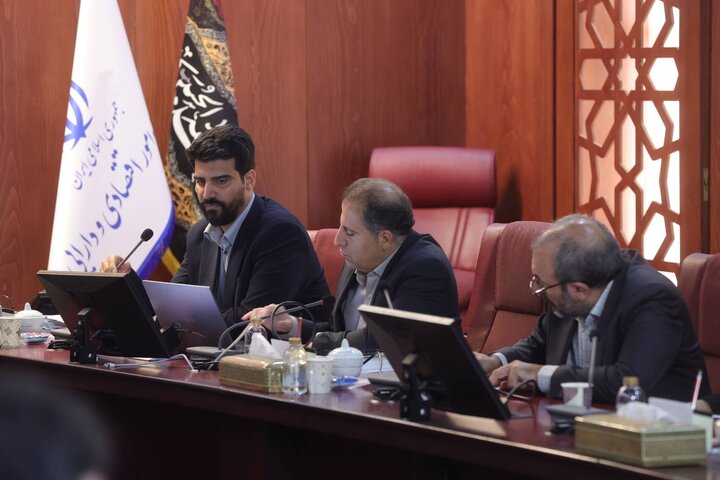 کمیسیون تخصصی شورای عالی اجرای سیاست های کلی اصل ۴۴ قانون اساسی