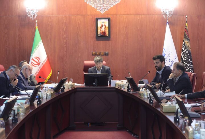 کمیسیون تخصصی شورای عالی اجرای سیاست های کلی اصل ۴۴ قانون اساسی