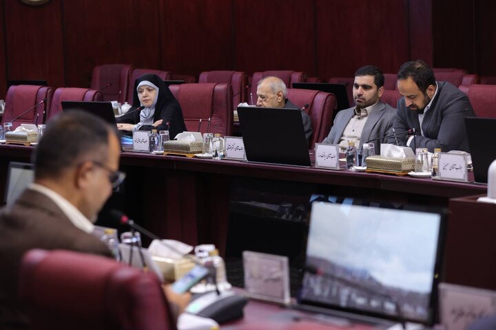 جلسه شورای معاونین وزارت اقتصاد