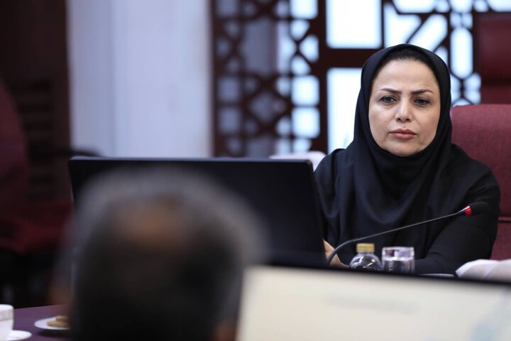 شورای اطلاع رسانی وزارت اقتصاد