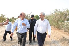 قول مساعد وزیر اقتصاد برای رفع مشکلات مجتمع کشت و صنعت مکران