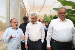 بازدید دکتر مدنی زاده از مجموعه کشت و صنعت مکران