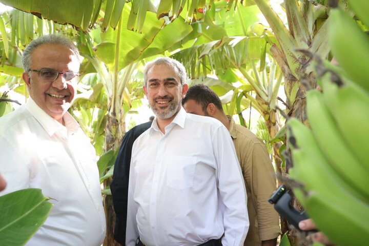 بازدید دکتر مدنی زاده از مجموعه کشت و صنعت مکران