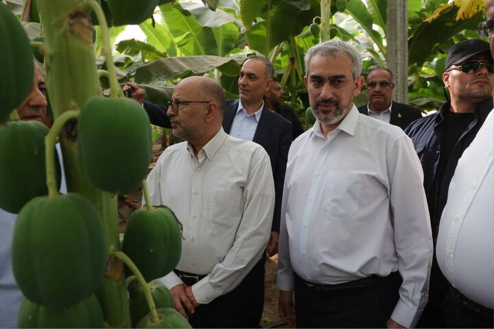 بازدید دکتر مدنی زاده از مجموعه کشت و صنعت مکران