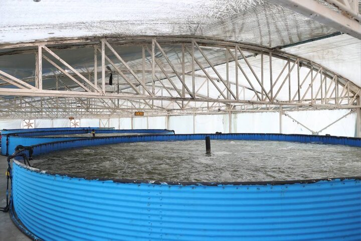 بازدید دکتر مدنی زاده از مجموعه کشت و صنعت مکران