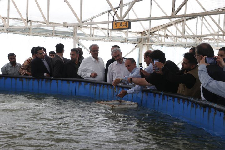 بازدید دکتر مدنی زاده از مجموعه کشت و صنعت مکران