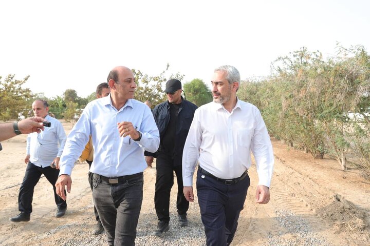 بازدید دکتر مدنی زاده از مجموعه کشت و صنعت مکران