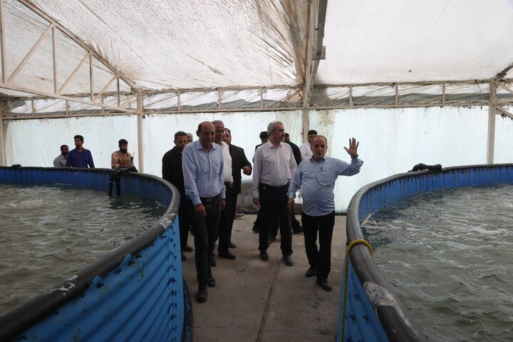 بازدید دکتر مدنی زاده از مجموعه کشت و صنعت مکران