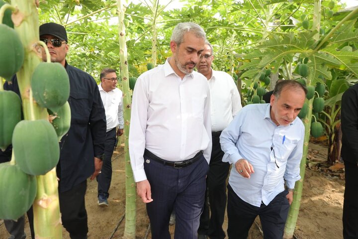 بازدید دکتر مدنی زاده از مجموعه کشت و صنعت مکران