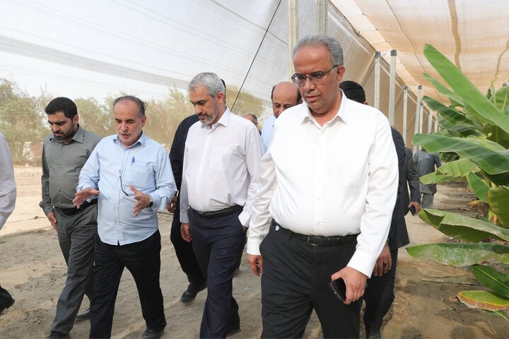 بازدید دکتر مدنی زاده از مجموعه کشت و صنعت مکران