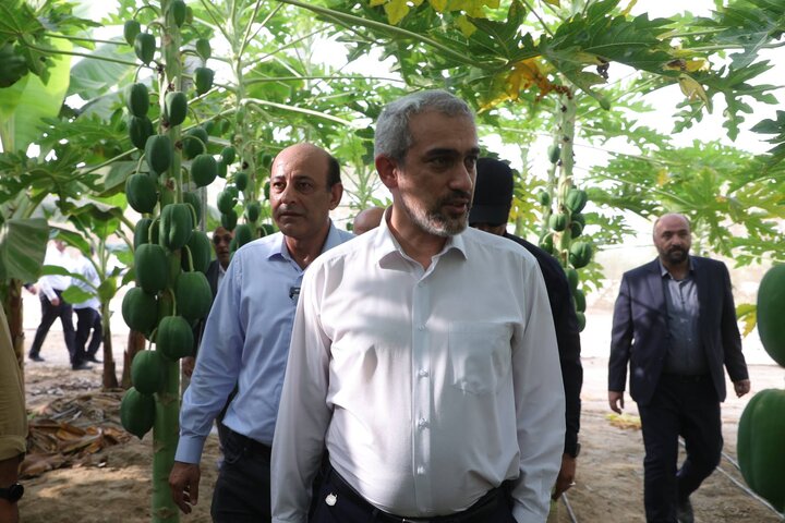 بازدید دکتر مدنی زاده از مجموعه کشت و صنعت مکران