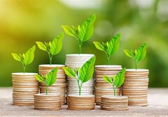 ۱۲ ماه تلاش، ۱۲ روز دفاع/۱۳/بسته‌های بی‌نام سرمایه‌گذاری/ سامانه جامع اطلاعات سرمایه‌گذاری کشور/ کارگزاری‌های جذب سرمایه‌گذاری بسترهایی برای بهبود سرمایه‌گذاری در کشور