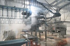 بهره برداری از کشتارگاه صنعتی طیور با حمایت بانک کشاورزی