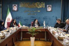 «بانوی ایرانی» نام محصول جدید بیمه ایران باهدف تامین آرامش زنان کشور