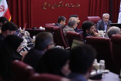 هجدهمین جلسه شورای ملی تأمین مالی