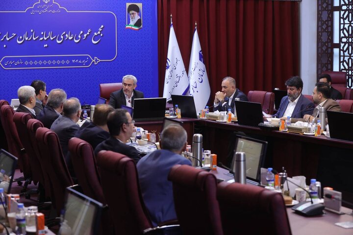 تأکید بر اجرای طرح تحول دیجیتال در سازمان حسابرسی