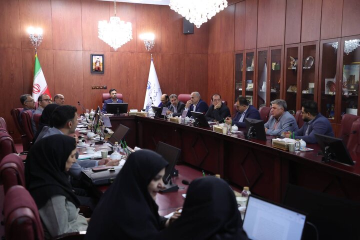 ۳۱۶ کمیته تخصصی هیأت مقررات زدایی و بهبود محیط کسب و کار