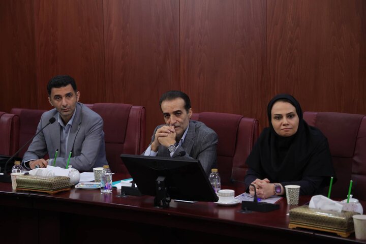 ۳۱۶ کمیته تخصصی هیأت مقررات زدایی و بهبود محیط کسب و کار