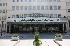 امکان تایید فرم تبصره ۱۰۰ و پرداخت مالیات از طریق پیام رسان های داخلی