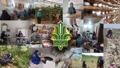 اعتبارطرح بانکداری پیوندی در بانک کشاورزی به ۱۰ هزار میلیارد ریال رسید