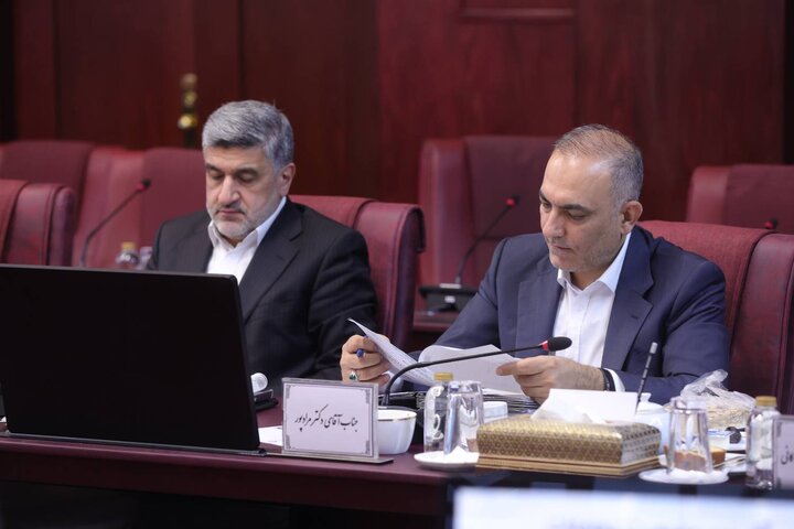 جلسه شورای معاونین وزارت اقتصاد