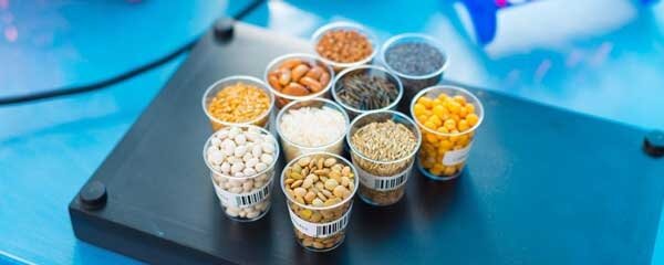 حمایت ۳۵ هزار میلیارد ریالی بانک کشاورزی از تولید بذور مقاوم و پربازده