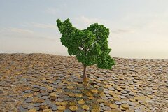 تداوم اجرای طرح مالیات نشان‌دار در مازندران با ۲۵ پروژه و ۷۳۱ میلیارد تومان اعتبار