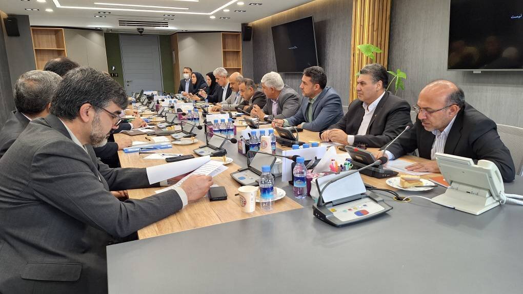 Head of IRICA: Customs Prioritises Support for Domestic Production Head of IRICA: Customs Prioritises Support for Domestic Production