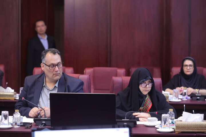 چهارصد و سی و نهمین جلسه هیات واگذاری