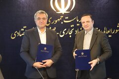 تعاونی‌ها؛ یکی از محورهای اثرگذار در اقتصاد کشور هستند