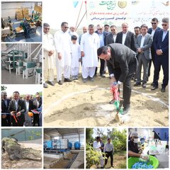 بزرگترین کارخانه تولید کنسرو تن ماهی کشور در چابهار کلنگ‌زنی شد