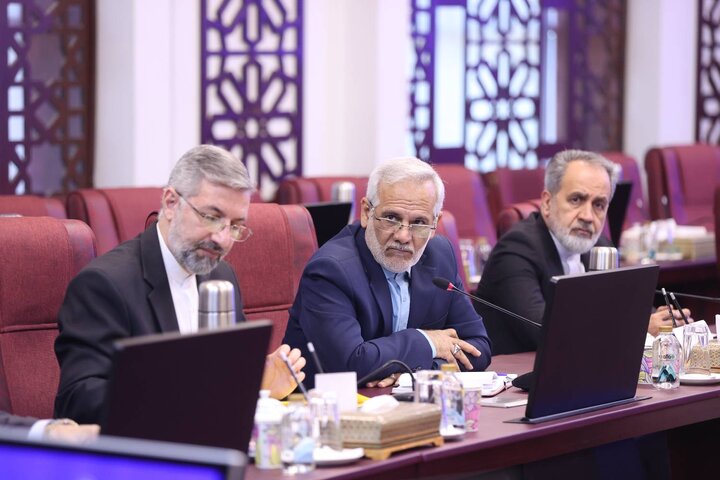 نخستین جلسه کمیسیون سرمایه گذاری و بازرگانی شورای عالی امور ایرانیان خارج از کشور