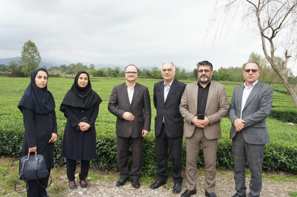 تیباغ فومن؛ رونق گردشگری گیلان در بزرگترین مزرعه بومگردی استان تیباغ فومن؛ رونق گردشگری گیلان در بزرگترین مزرعه بومگردی استان