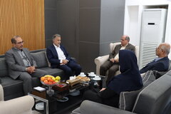 دیدار نماینده مردم شریف بوشهر گناوه دیلم در مجلس شورای اسلامی با مدیرکل امور اقتصادی و دارایی استان بوشهر