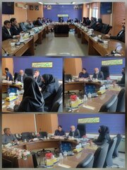 حضور فعال اداره کل امور اقتصادی و دارایی تهران در ستاد تسهیل و رفع موانع تولید