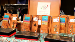 رونمایی از کیف دیجیتال سرمایه گذاری خراسان جنوبی؛ مسیر تازه جذب سرمایه در استان