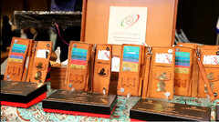 رونمایی از کیف دیجیتال سرمایه گذاری خراسان جنوبی؛ مسیر تازه جذب سرمایه در استان