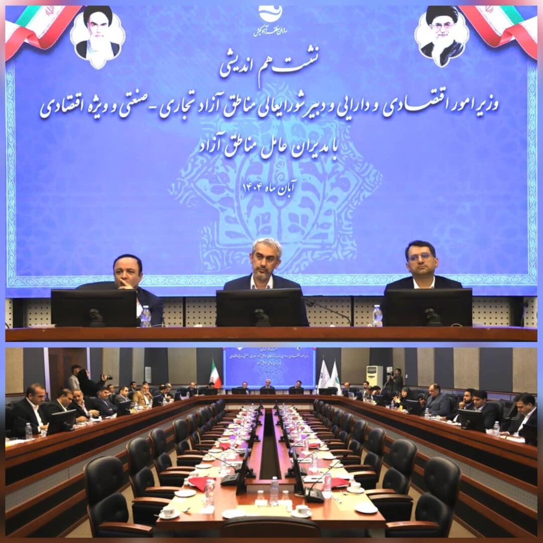 نشست هم‌اندیشی وزیر امور اقتصادی و دارایی و دبیر شورای‌عالی مناطق آزاد و ویژه اقتصادی با مدیران عامل سازمان‌های مناطق آزاد کشور در حال برگزاری است.