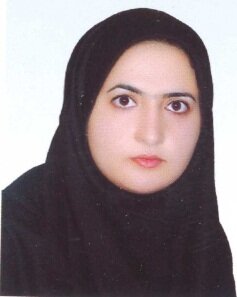 رئیس گروه مطالعه و تحلیلی وضعیت بخش های اقتصادی