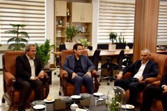 تشکیل کارگروه مطالعاتی در جهت رشد و توسعه