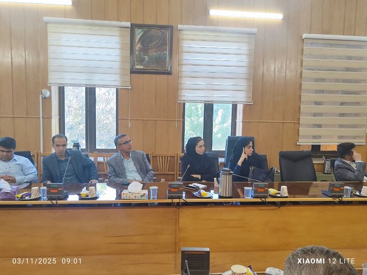 استان فارس - وبینار مشترک هم اندیشی ذیحسابان ستاد و ذیحسابان منطقه پنج کشوری