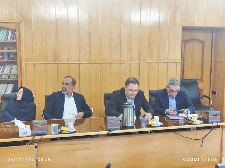 استان فارس - وبینار مشترک هم اندیشی ذیحسابان ستاد و ذیحسابان منطقه پنج کشوری