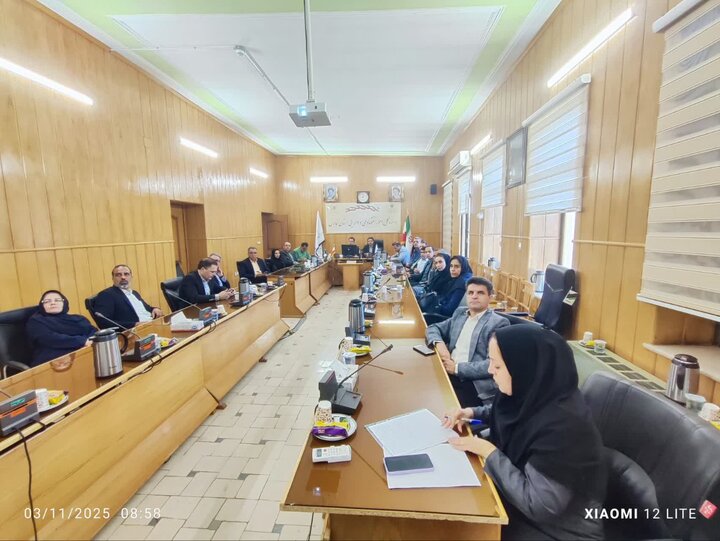 استان فارس - وبینار مشترک هم اندیشی ذیحسابان ستاد و ذیحسابان منطقه پنج کشوری