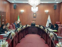 برگزاری نخستین جلسه ستاد توسعه منطقه ۲ وزارت امور اقتصادی و دارایی