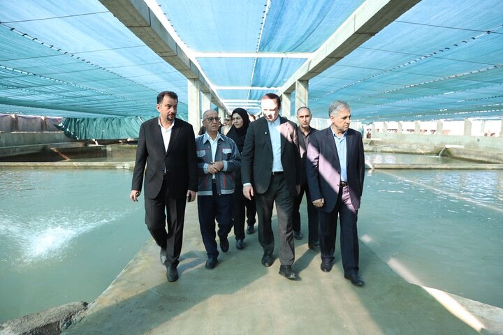 «مجتمع قره‌برون» در منطقه آزاد مازندران؛ نمونه‌ای موفق از زنجیره کامل تولید تا صادرات در بخش شیلات