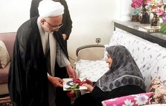 دیدار مشاور وزیر در امور ایثارگران با مادر شهید/ تجلیل از صبر و استقامت خانواده‌های معظم شهدا