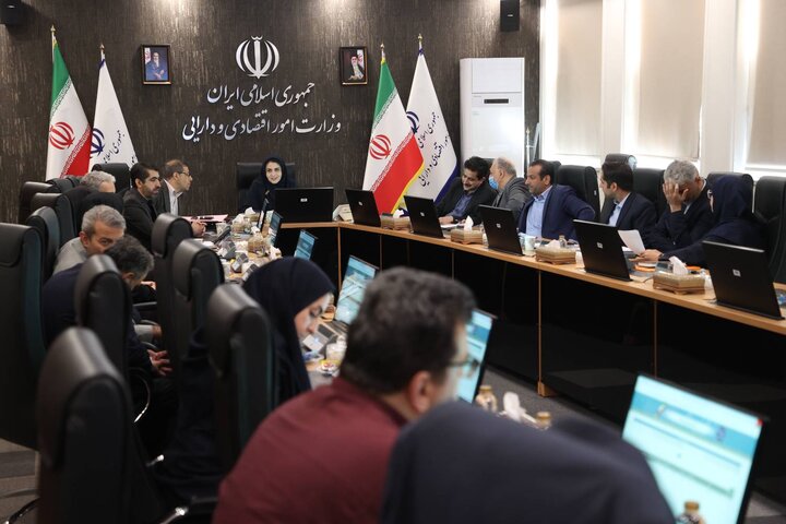 دومین جلسه کمیته تخصصی کارگروه ملی ویژه پیگیری تحقق شعار سال ۱۴۰۴